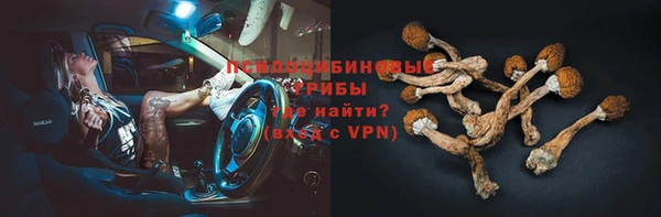 амф Инта