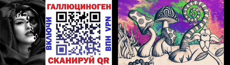 Галлюциногенные грибы MAGIC MUSHROOMS  Купить  Горно-Алтайск 